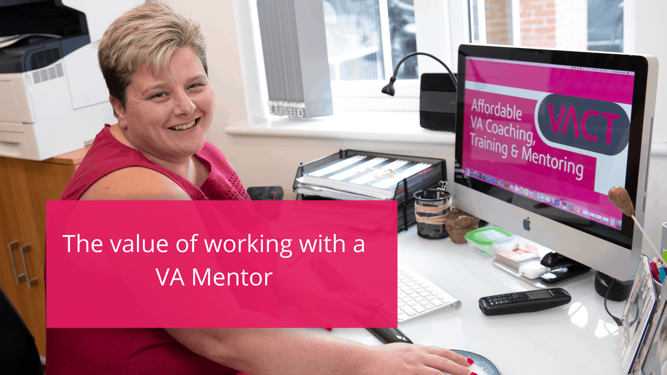 The value of working with a VA Mentor