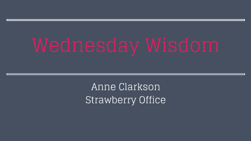 Wednesday Wisdom