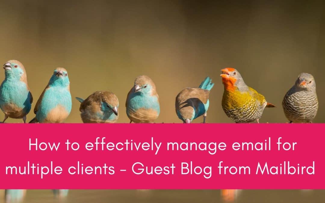 How to Effectively Manage Email for Multiple Clients