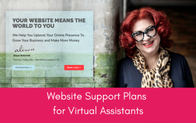 Why Virtual Assistants Need Website Support Plans